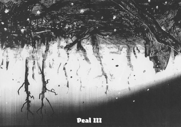 NM059: peal - iii