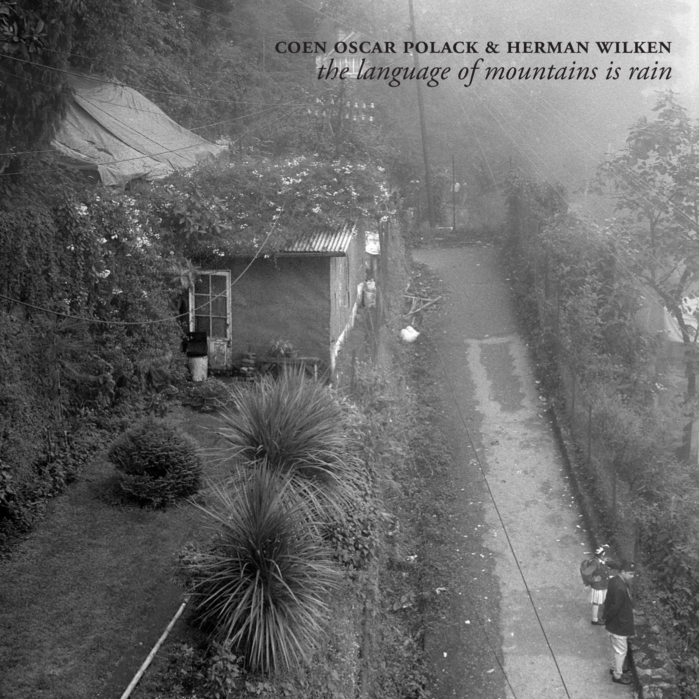 NM031: coen oscar polack & herman wilken - the language of mountains is rain