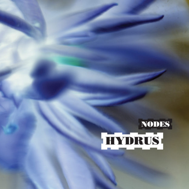 NM053: hydrus - nodes