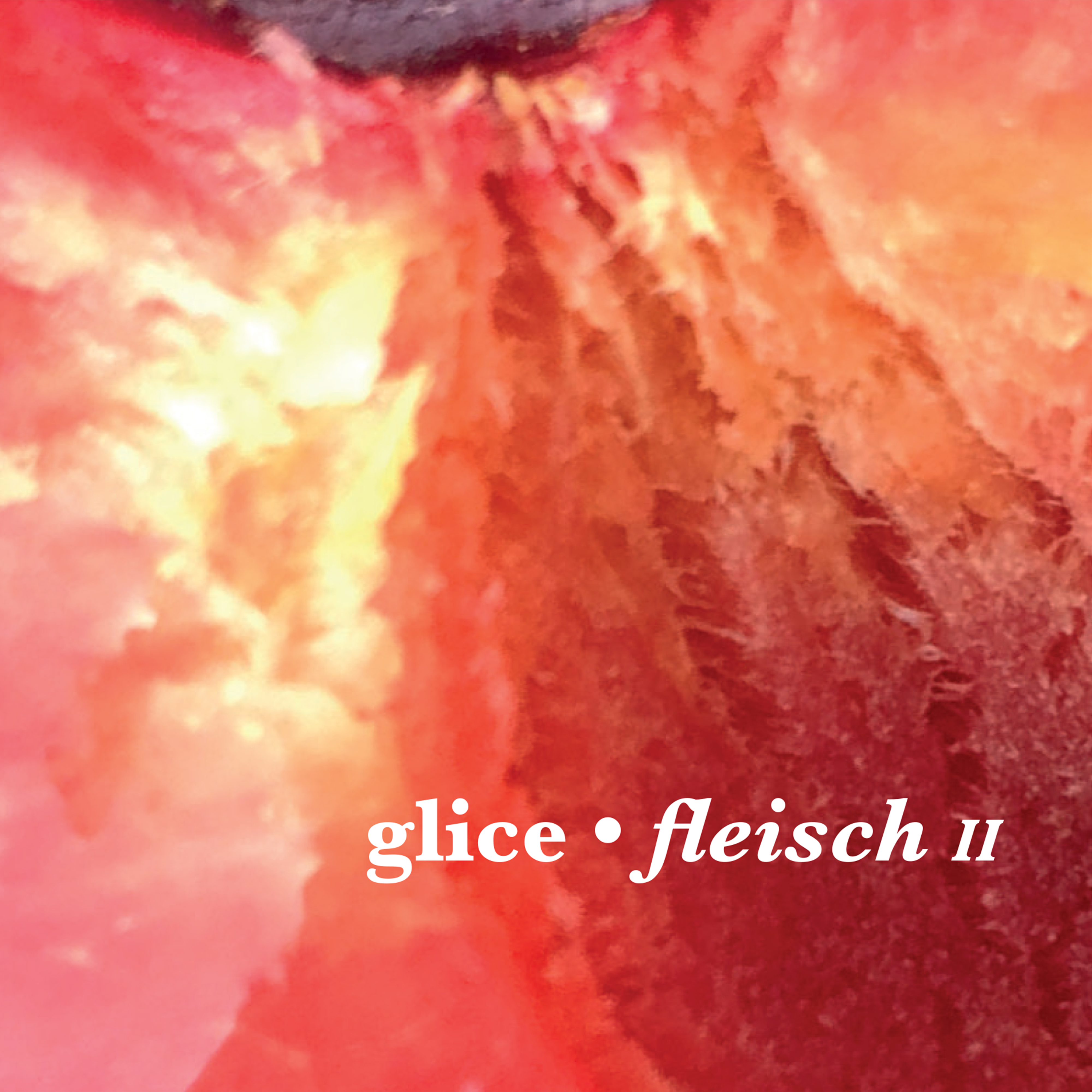 nm074-glice-fleisch-ii