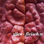 NM078: glice – fleisch iii